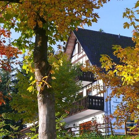Pension Stiegelmeier 빈터베르크 외부 사진