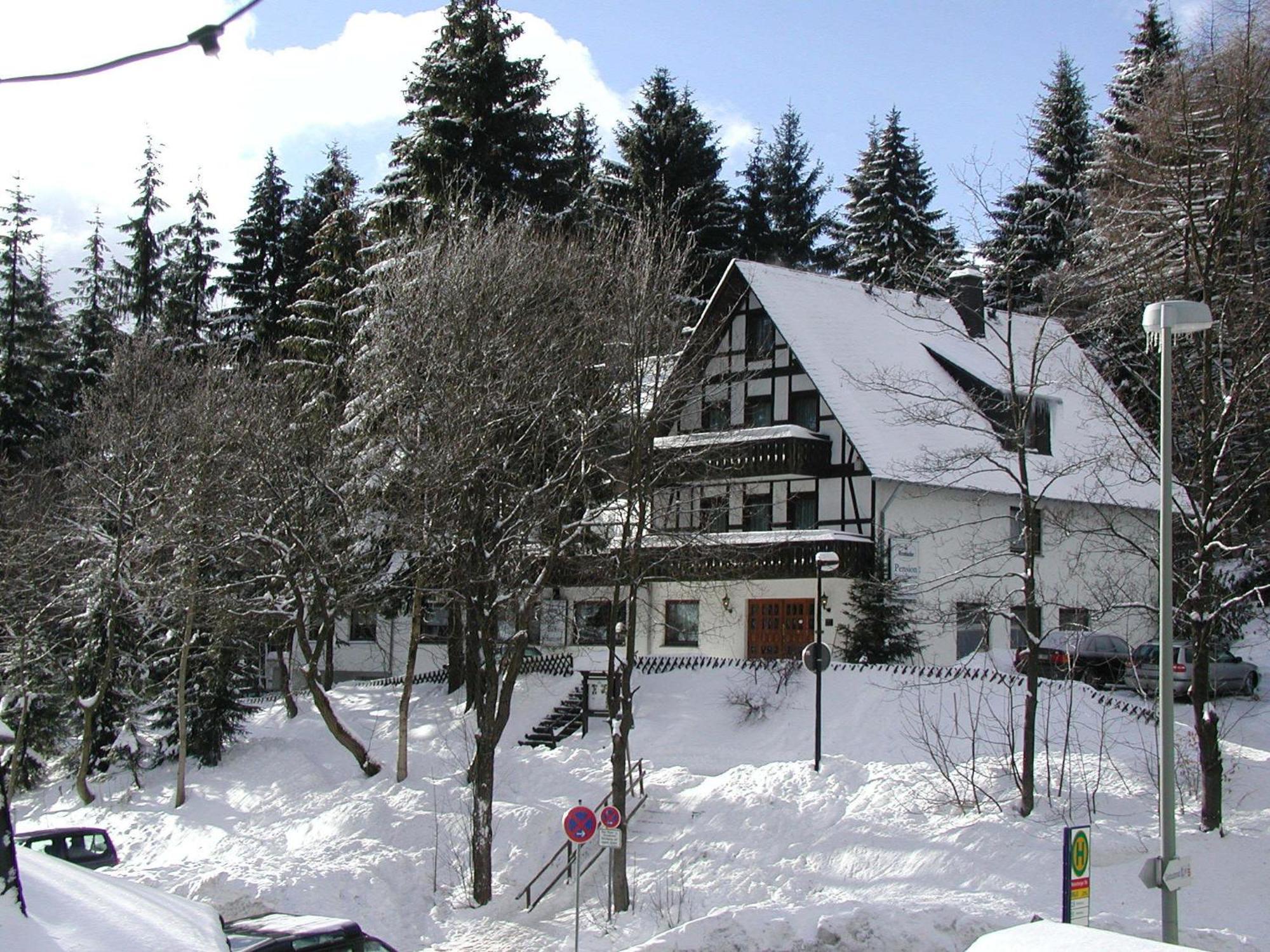 Pension Stiegelmeier 빈터베르크 외부 사진